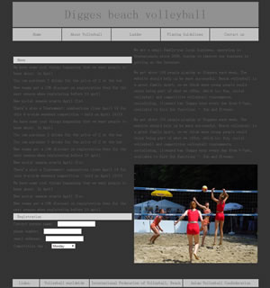512 沙滩排球 5页 表格 表单