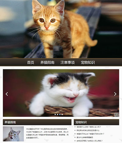 宠物动物猫html+css+js特效视频三级页面15网页精选