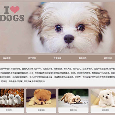 宠物狗简单网站制作5网页html+css精选下载