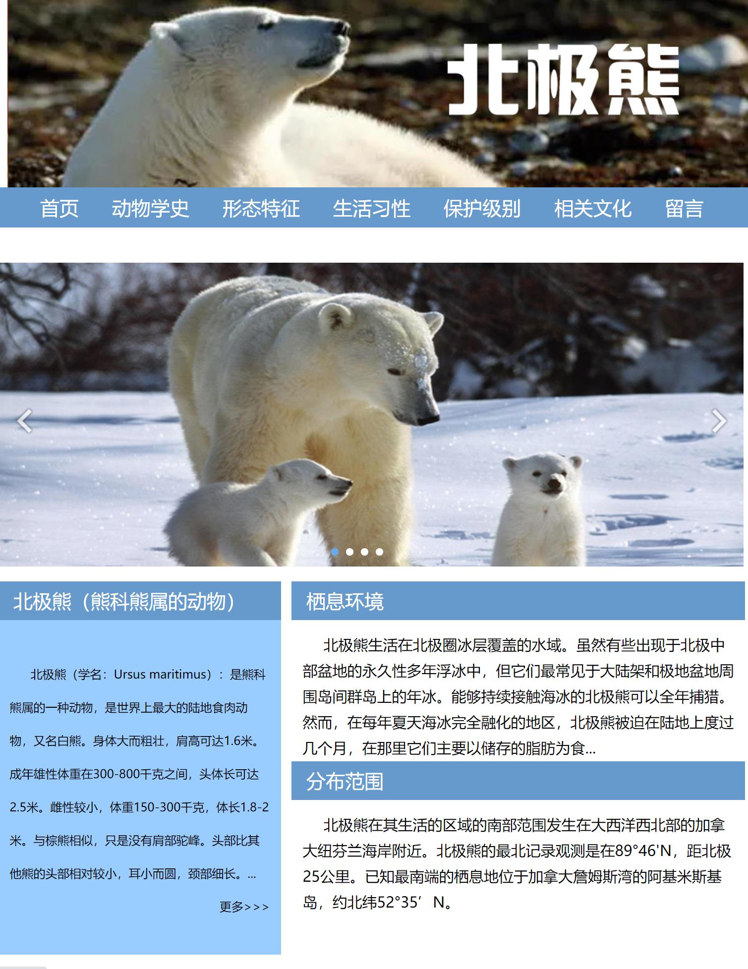 北极熊动物10网页html+css+js滚动图片特效表单三级级页面精选